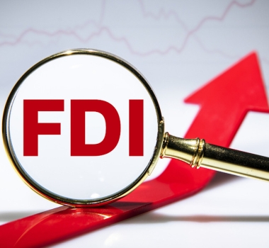Việt Nam Thiết Lập Kỷ Lục FDI Năm 2024